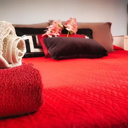 Warm, Cozy And Comfortable Apartment